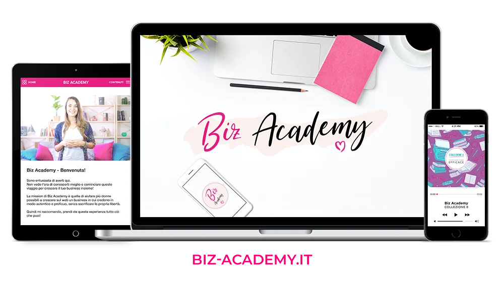 Biz Academy