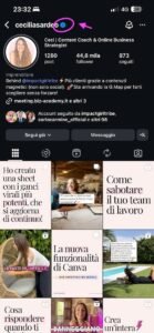 Spunta-blu-utile-per-assistenza-e-visibilita