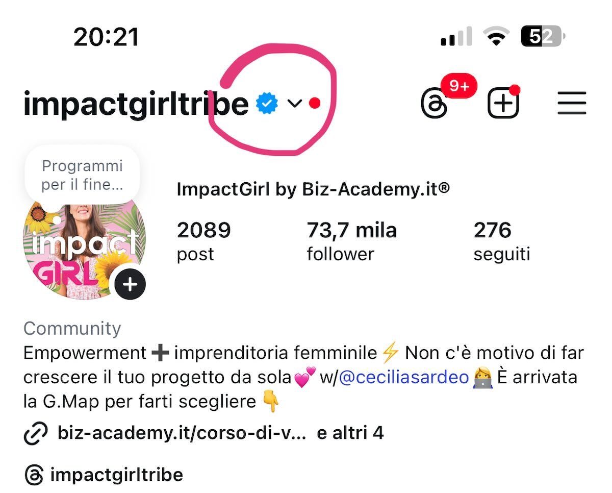 Spunta blu instagram: Guida per scegliere quella giusta per le mie esigenze